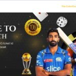 Understanding Dubai Exchange and Online Sports Exchange Platforms