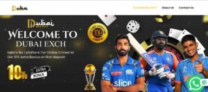 A Practical Guide to Understanding Online Sports Exchange Platforms