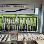 How Can You Plan a Successful Portage Indiana Fishing Charters Trip?