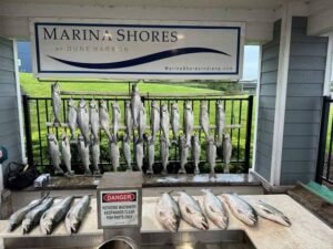 How Can You Plan a Successful Portage Indiana Fishing Charters Trip?