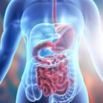 France’s Digestive Care Sector Evolves With Self-Care, Ageing and Pharmacy-Led Access