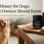 Manuka Honey for Dogs: What Pet Owners Should Know