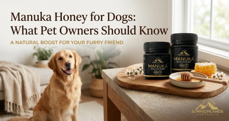 Manuka Honey for Dogs: What Pet Owners Should Know