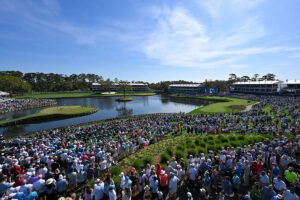 What Should You Know About Players Championship Betting?