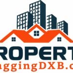 Snagging Service in Dubai: Protect Your Property Investment