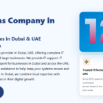 IT Solutions Company In UAE