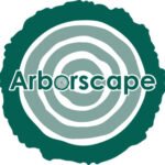 Professional Tree Planting Contractors for Healthier, Greener Landscapes