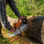 Trusted Tree Service Plymouth MN Experts for Safe Yards