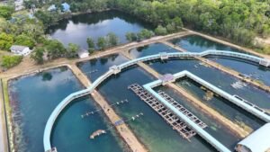 What Is Driving Italy’s Water and Wastewater Pump Industry?