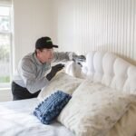 Bed Bug Treatment Queens: How to Identify and Prevent Bed Bug Infestations