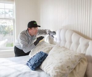 Bed Bug Treatment Queens: How to Identify and Prevent Bed Bug Infestations