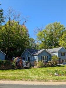 Comprehensive Services by Texterra Lawn & Landscaping LLC