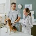 Veterinary Clinic A reliable Companion within Pet Your health