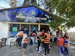 Diving School Your Gateway to Under the sea Query and Adventure