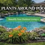 Kingswood Landscape: New Home Landscaping Ideas for a Beautiful, Functional Outdoor Space