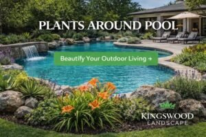 Kingswood Landscape: New Home Landscaping Ideas for a Beautiful, Functional Outdoor Space