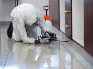 لماذا تحتاج إلى شركة تنظيف متخصصة؟