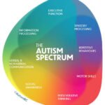 Knowing Person Variations, Assistance, as well as Introduction Autism