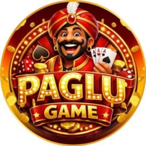 Is Paglu Game Easy to Use for Beginners? A Complete Guide