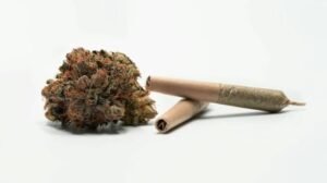 Buy Weed Online: Explore Products With Confidence and Care