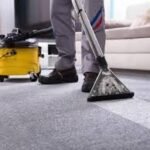 Who Can Benefit from Professional Carpet Dry Cleaning Services?
