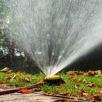 Transformed Landscaping Co.: Landscape Installation in Austin for Functional Outdoor Spaces