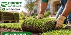 Ridgeview Landscape: How Landscaping in Mansfield TX Can Transform Your Outdoor Living Experience?