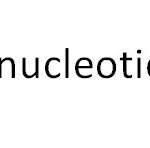 Understanding Polynucleotides Before Plenhyage Treatment