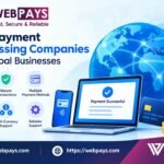 How To Get Secure Payment Processing Solutions For Your Business?