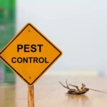 Why It’s Important to Find Reliable Weed Control Near Me