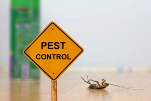 Why It’s Important to Find Reliable Weed Control Near Me